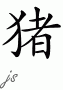 Year of the Boar